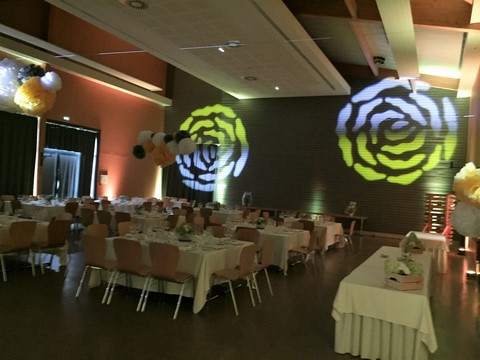 dj decoration mur led bas rhin alsace